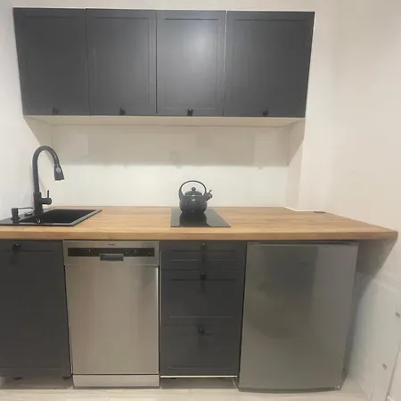 Dwie Rybki Apartament *