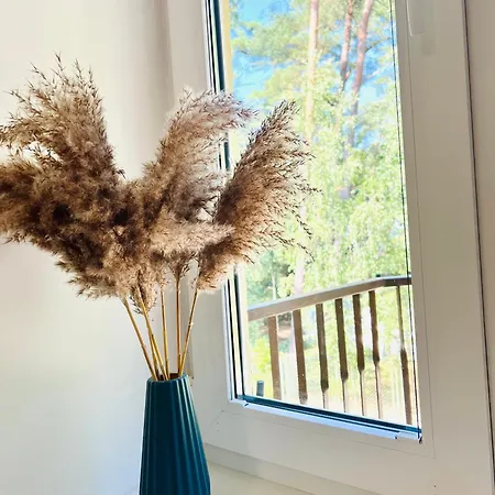 Dwie Rybki 波别罗沃